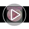 Pink Absorbent Ceramic Coasters Set of 4 with Gold Holder for Drinks