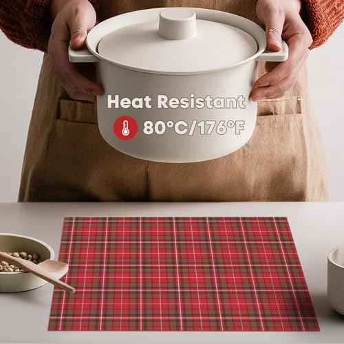 Red Buffalo Plaid Winter Placemats Set of 4 - 12x18 Inch Washable & Heat-Resistant