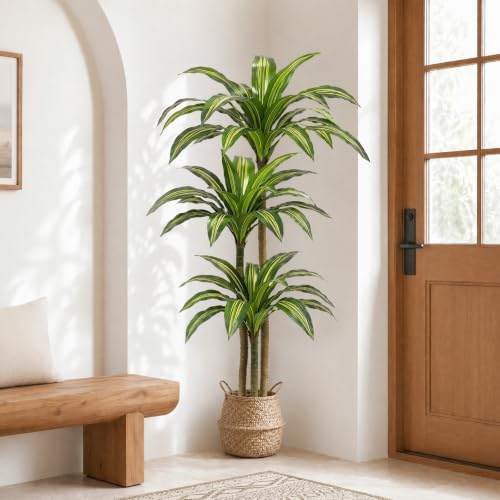 6FT Artificial Dracaena Tree with 3 Thick Trunks and Realistic Foliage