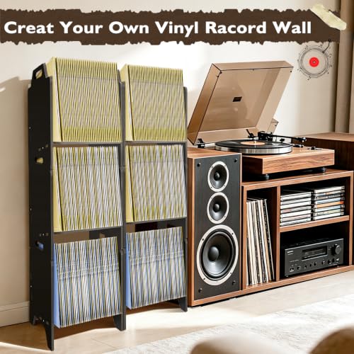 Black Vinyl Record Storage Organizer Rack, 2 Pack Stackable LP Shelf for Albums & More