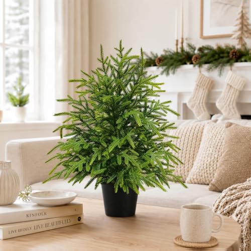 Gradient 2FT Pre-Lit Norfolk Pine Christmas Tree with Lights & Timer