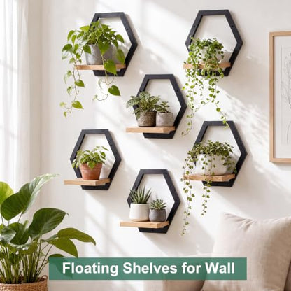 Novabright Black Solid Wood Wall Plant Holder Shelves Set of 6 Indoor Garden Decor