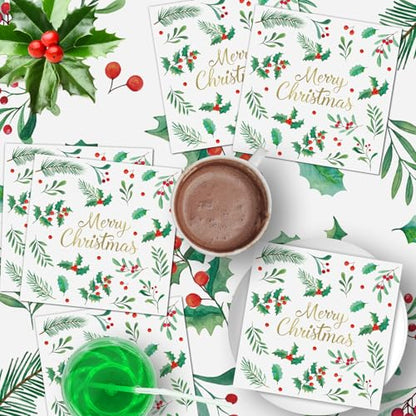 Christmas Paper Napkins 40 Pcs - 13 Inch Holiday Cocktail Dinnerware Set