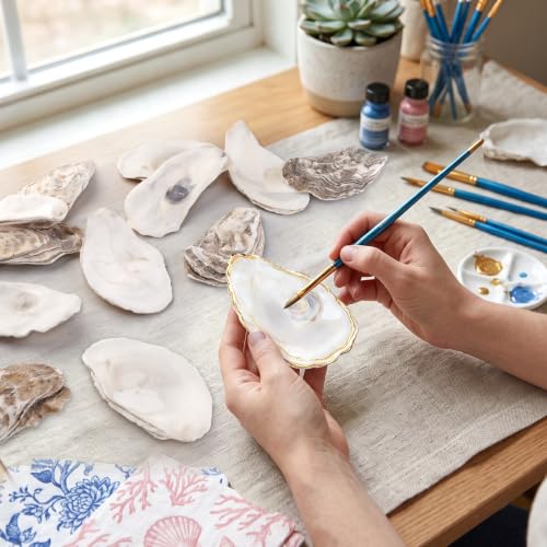 30PCS Flat Oyster Shells for Crafts 2-3 Inch Seashells Natural DIY Decor
