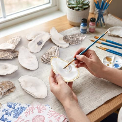 30PCS Flat Oyster Shells for Crafts 2-3 Inch Seashells Natural DIY Decor