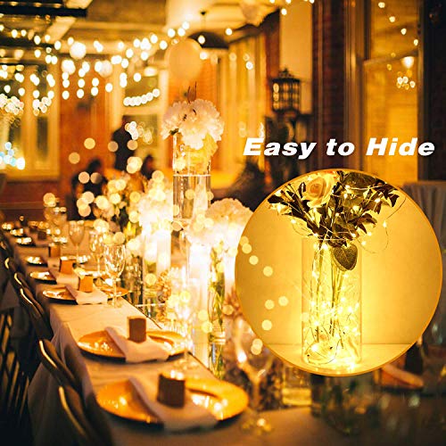 24 Pack Battery Operated Fairy Lights 3 Modes 7ft Warm White & Cool White