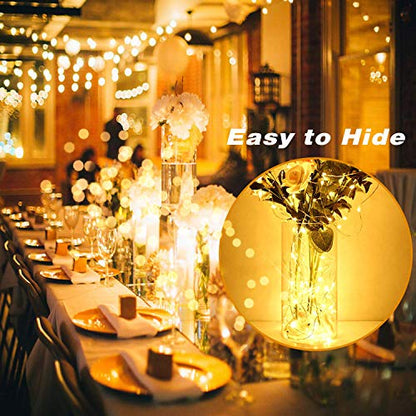 24 Pack Battery Operated Fairy Lights 3 Modes 7ft Warm White & Cool White