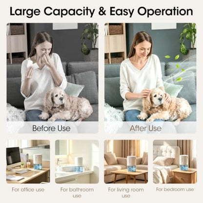 Small Portable Dehumidifier 1300ml Quiet Auto Shut Off for Bedroom & Home