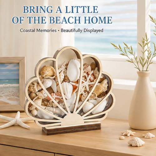 Wooden Seashell Shadow Box Display Stand Coastal Decor