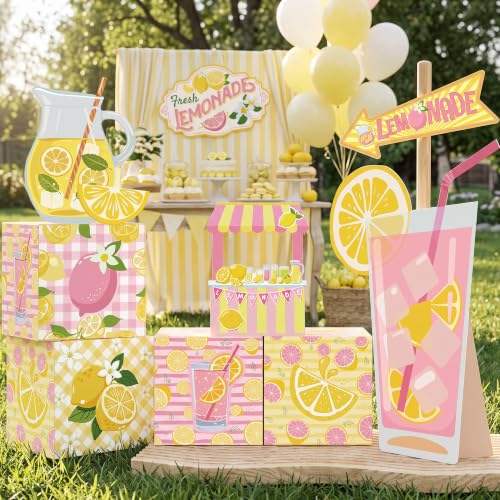 Pink Lemonade Party Decorations Set with Photo Props and Standee