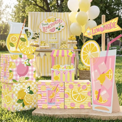 Pink Lemonade Party Decorations Set with Photo Props and Standee
