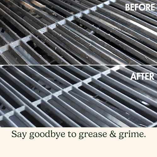 Cuisinart Stainless Steel 16.5" Long Handle Grill Cleaner Brush and Scraper for BBQ, Griddle, Grills, Cookout Tool, Grill Brush for Outdoor Grills BBQ Accessories