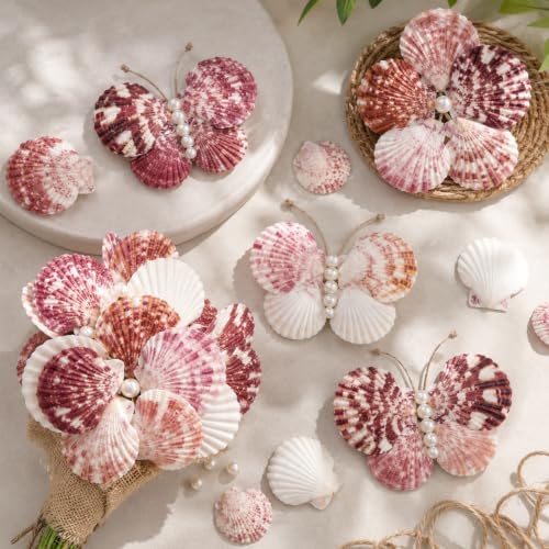Natural Red Scallop Seashells - 60+ Pieces for Coastal Decor & Crafts
