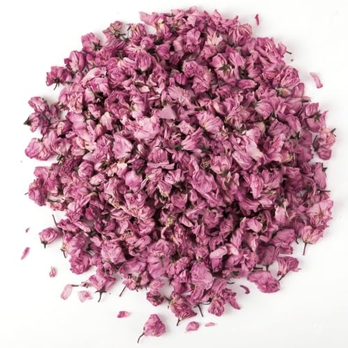 Natural Dried Cherry Blossom Flowers for Culinary & Craft Use - 450+ Pieces