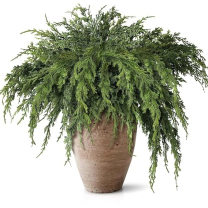 Large Artificial Christmas Cedar Branches for Vase Decoration - 12 Pack, 36 Inch