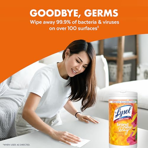 Lysol Dual Action Disinfectant Wipes, Multi-Surface Antibacterial Scrubbing Wipes, Dorm Room Essentials, Citrus Scent, 75ct (Pack of 4), Packaging May Vary