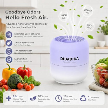 Refrigerator Deodorizer Nano-Catalytic 10-Year Odor Eliminator 4 Pack - DIDADIDA
