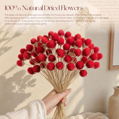 40 Pcs Dried Globe Amaranth Flowers - Red Floral Bouquet for DIY & Decor