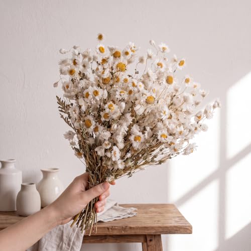 100 Pcs Dried Daisy Flowers Bouquet for Wedding Decor White - Natural & Lush
