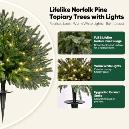 Artificial Norfolk Pine Topiary Trees with Lights - Green Norfolk, Set of 2