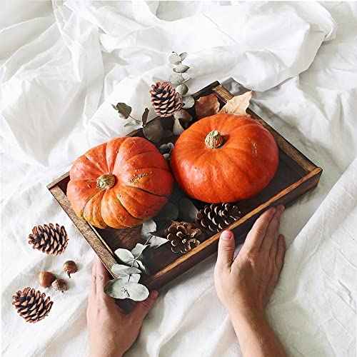 Natural Bulk Pine Cones,Christmas Tree Fall Ornaments,Christmas Rustic Pinecones for Home Party Decorations-18PCS