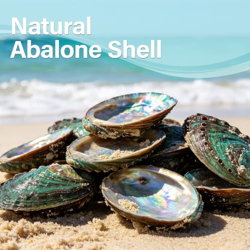 Natural Abalone Shells Set - 60 Small Iridescent Sea Shells for Crafts & Decor