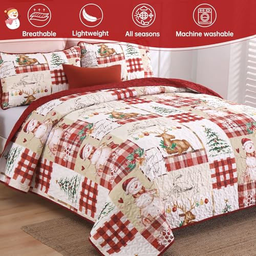 Christmas Quilt Set Queen Size 3-Piece Bedspread Bedding with Reindeer Snowman Pattern - Red & Green