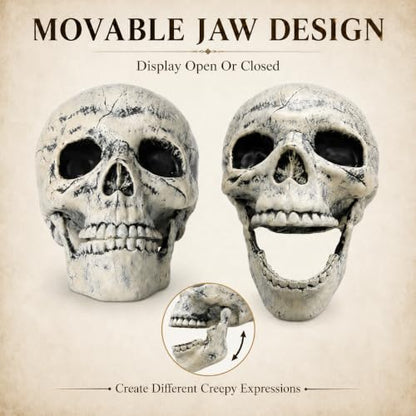 AISENO 2 Pack Realistic Skeleton Skull Halloween Yard Decorations Outdoor Indoor
