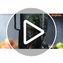 Anybear Cold Press Juicer 200W Masticating Slow Juicer with 4.3-Inch Wide Feed Chute - Silver & Orange