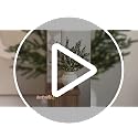 Green Enchanted Evergreen Pine with Lights for Christmas DIY Vase - 5 Pieces