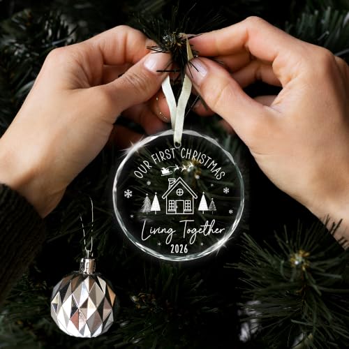 Our First Christmas Living Together Glass Ornament - Chris2026