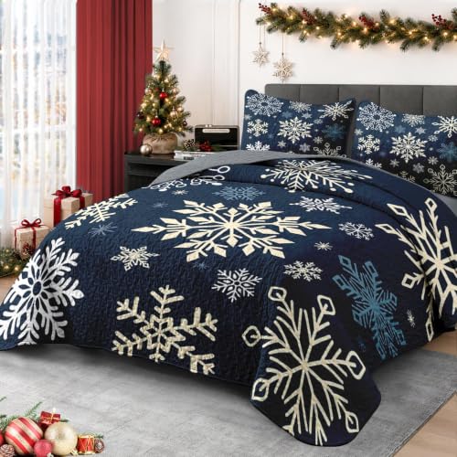 Queen Snowflake Quilt Set - Winter Christmas Bedding 3 Pieces