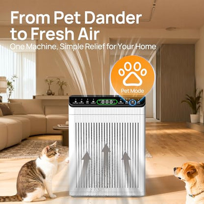Evalit ET066 Air Purifier Replacement Cartridge for Large Spaces