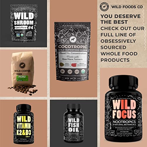 Wild Foods Immune Support Tea | Organic Elderberry, Currant, Hibiscus and Cranberry | Superberry Antioxidant Blend Loose Leaf Herbal Teas | Natural Immunity Boost | (4 ounces)