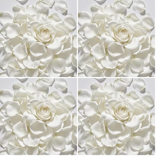 White Dried Rose Petals for Weddings - Biodegradable & Natural - 4 Pack (100g each) - Romantic Table Decor & Flower Girl