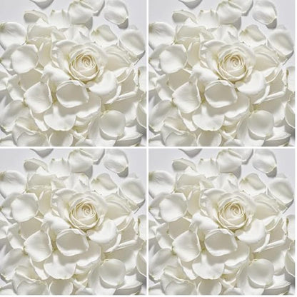 White Dried Rose Petals for Weddings - Biodegradable & Natural - 4 Pack (100g each) - Romantic Table Decor & Flower Girl