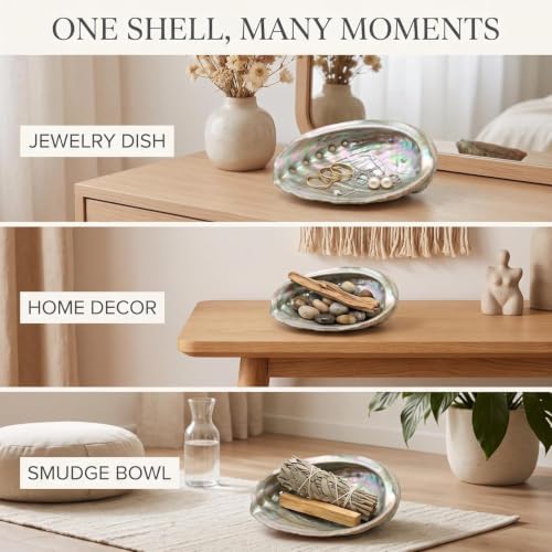 Large Abalone Shell Bowls Set for Smudging Incense and Decor - 4 to 4.5 Inches