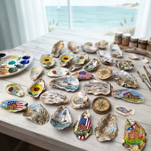 3-4 Inch Flat Oyster Shells for Crafts Seashells Pack of 30