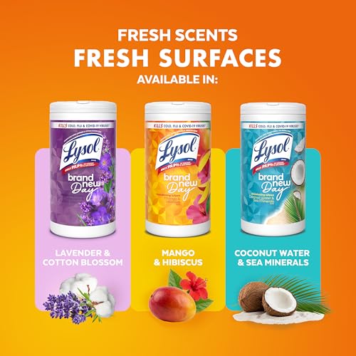 Lysol Dual Action Disinfectant Wipes, Multi-Surface Antibacterial Scrubbing Wipes, Dorm Room Essentials, Citrus Scent, 75ct (Pack of 4), Packaging May Vary