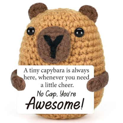 Positive Capybara Birthday Gift for Kids - Cute Basket Stuffers for Boys & Girls