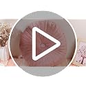 Namalu 4-Pack Blush Velvet Pumpkin Throw Pillows 13.8" Decorative Accent Cushions