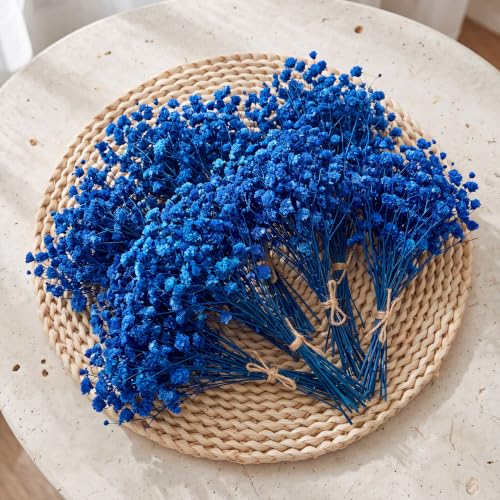 Mini Dried Baby's Breath Flowers - Royal Blue, 100 Pcs for Wedding Decor & Crafts