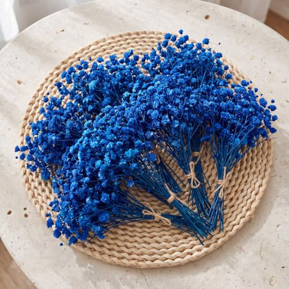 Mini Dried Baby's Breath Flowers - Royal Blue, 100 Pcs for Wedding Decor & Crafts