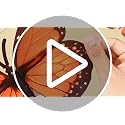 Monarch Butterfly Hanging Decorations Set - Day of the Dead Dia De Los Muertos Decor