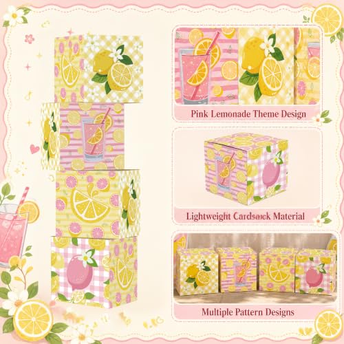 Pink Lemonade Party Decorations Set with Photo Props and Standee