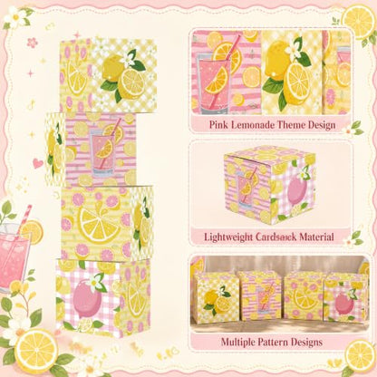 Pink Lemonade Party Decorations Set with Photo Props and Standee