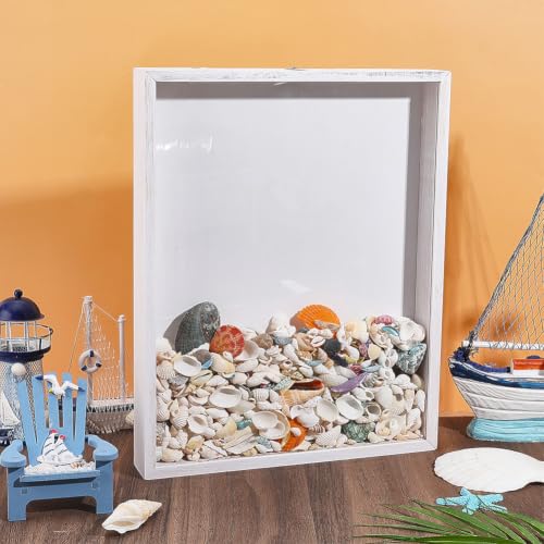 Seashell Display Shadow Box with Wooden Frame - Top Loading 13.8x10.9 Inch