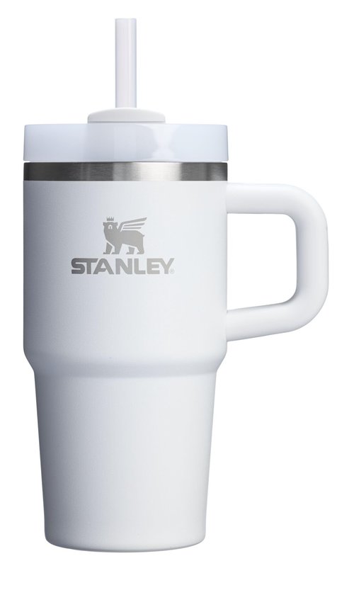 STANLEY Quencher H2.0 Tumbler with Handle and Straw 20 oz | Flowstate 3-Position Lid | Cup Holder Compatible for Travel | Insulated Stainless Steel Cup | BPA-Free | Frost
