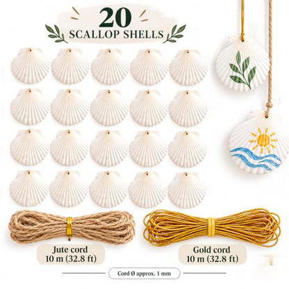 20pcs Natural Drilled Scallop Shells for Crafts & Decor 3.14-3.5 Inch