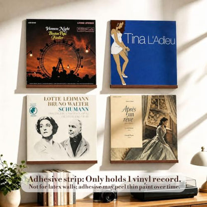 Wall Mount Vinyl Record Shelf - 6 Pcs Rubberwood, Dark Brown Finish